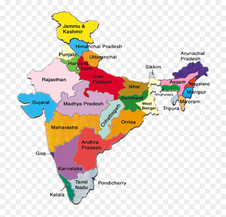 State Govt Jobs